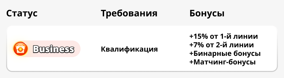 Статус бизнеса