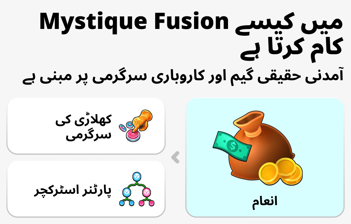 Mystique Fusion میں سسٹم کیسے کام کرتا ہے
