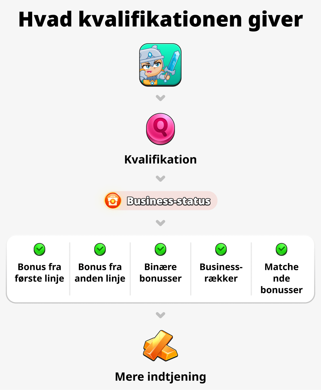 Hvad giver kvalifikationen