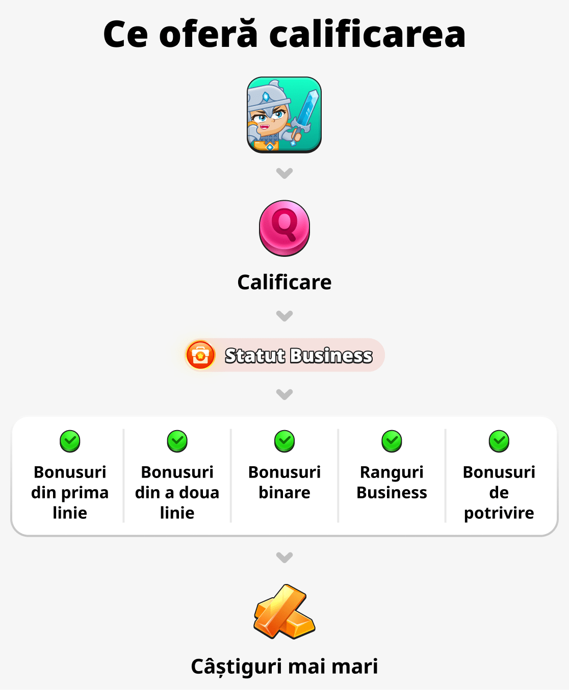 Ce oferă calificarea