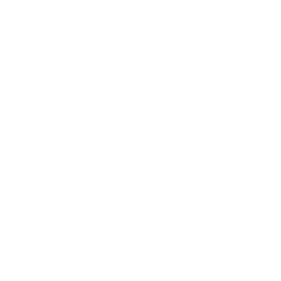 Mystique Fusion